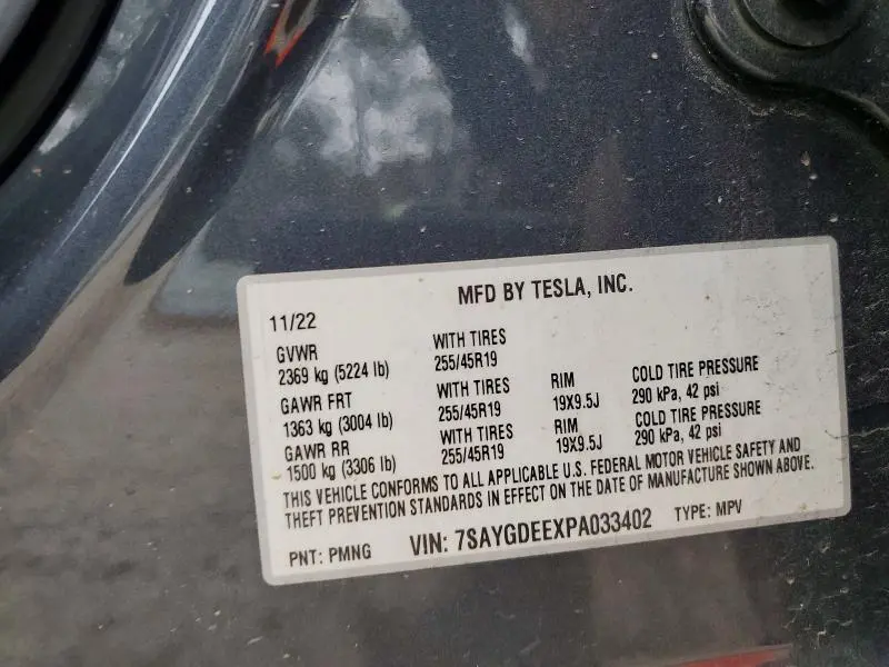 2023 TESLA MODEL Y   