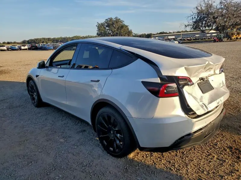 2020 TESLA MODEL Y   
