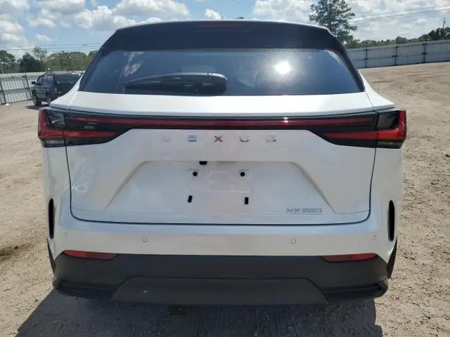 2025 LEXUS NX 250 PREMIUM  