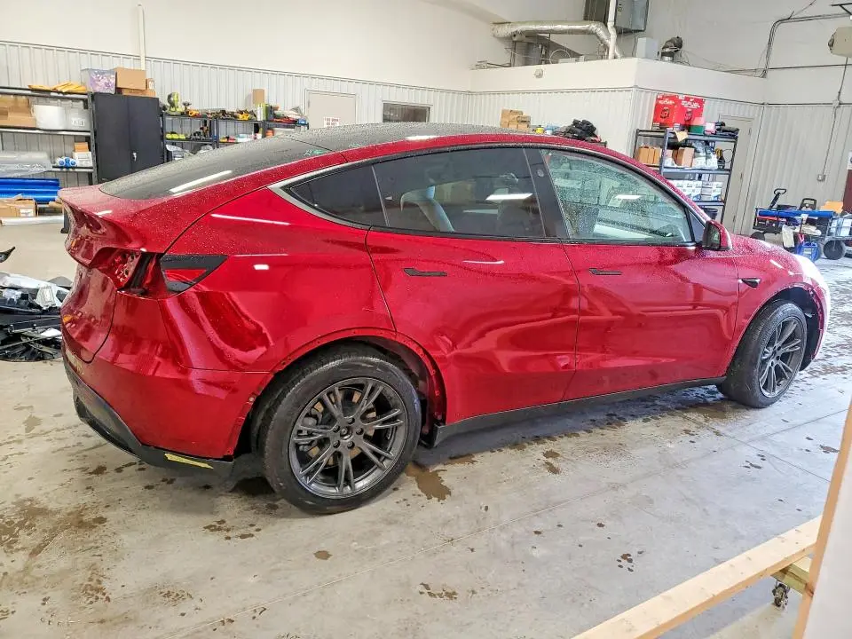 2025 TESLA MODEL Y   