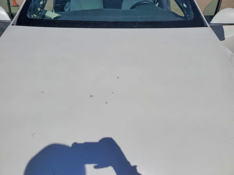 2019 TESLA MODEL X   