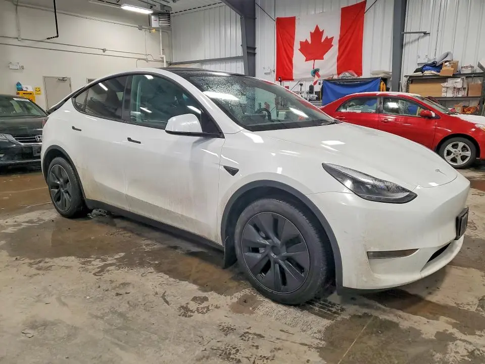 2025 TESLA MODEL Y   