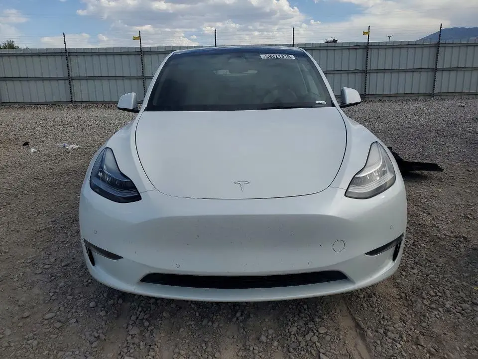 2021 TESLA MODEL Y   