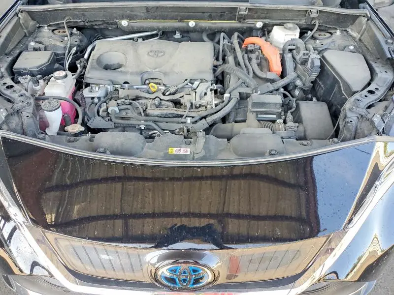 2021 TOYOTA VENZA XLE  