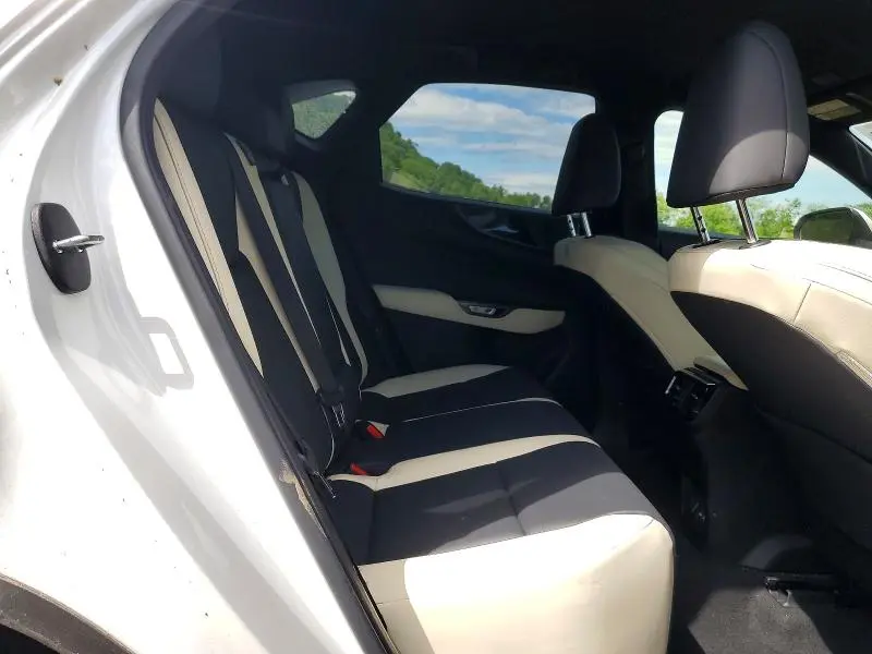 2023 LEXUS NX 250  