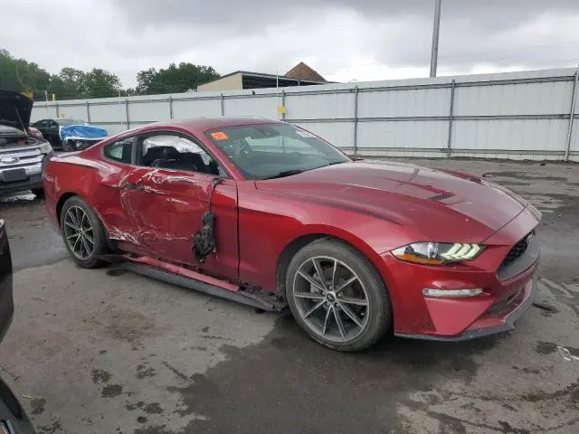2019 FORD MUSTANG   