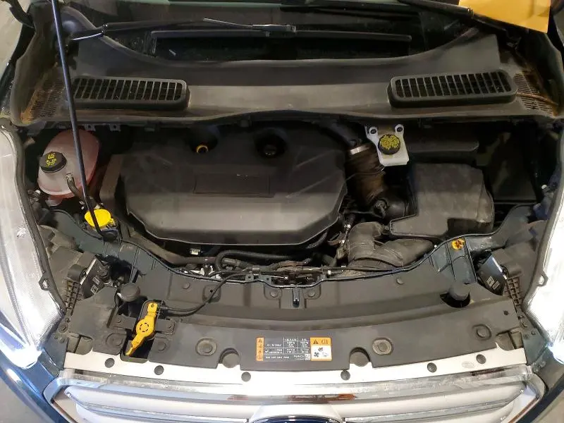 2019 FORD ESCAPE TITANIUM  