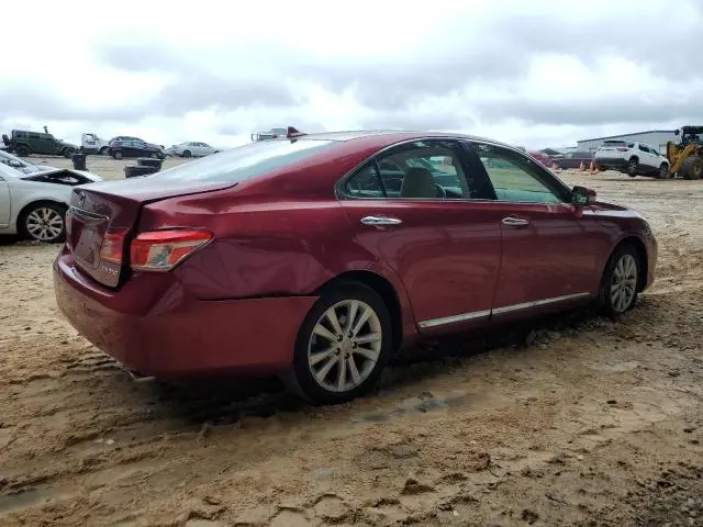 2010 LEXUS ES 350  