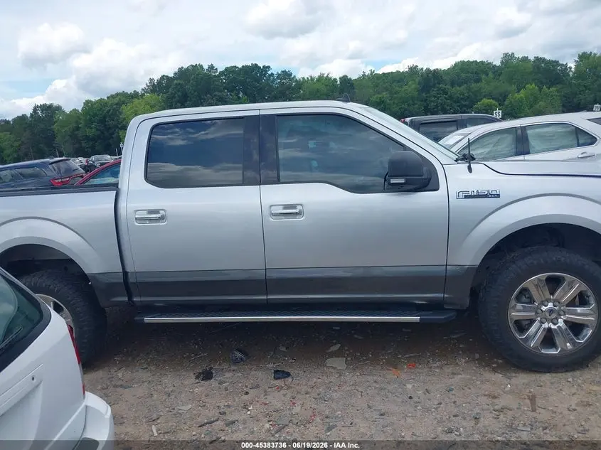 2019 FORD F-150 XLT