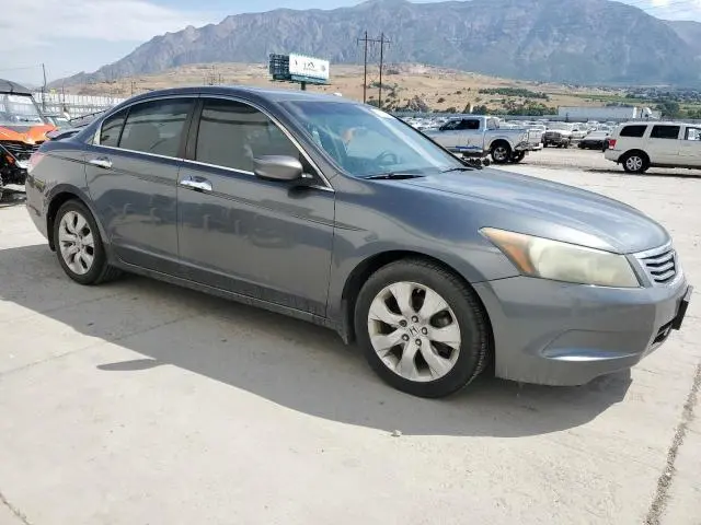 2010 HONDA ACCORD EXL  