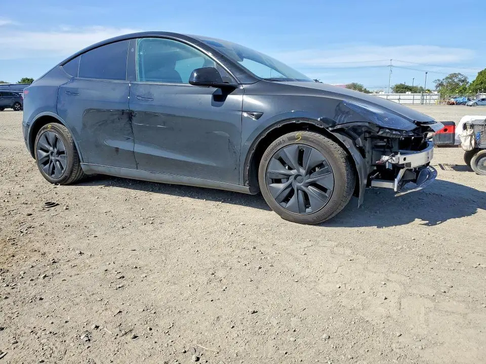 2025 TESLA MODEL Y   