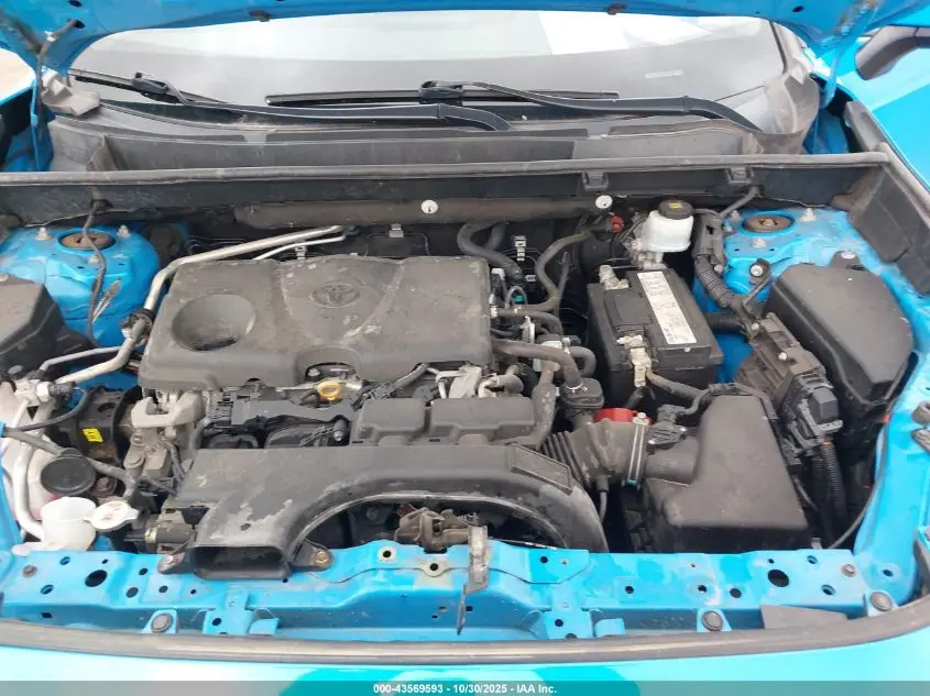 2019 TOYOTA RAV4 XLE