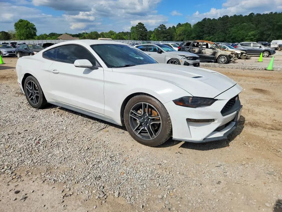2019 FORD MUSTANG   
