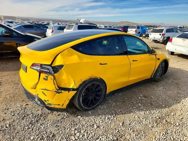 2021 TESLA MODEL Y   