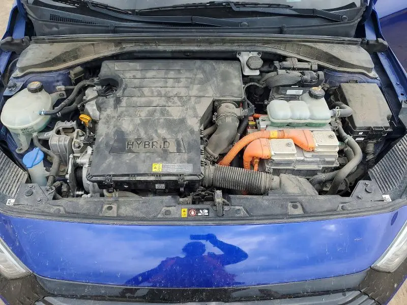 2019 HYUNDAI IONIQ BLUE  