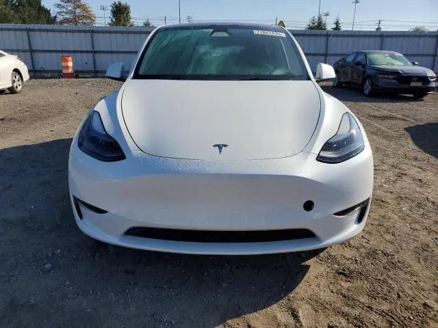 2025 TESLA MODEL Y