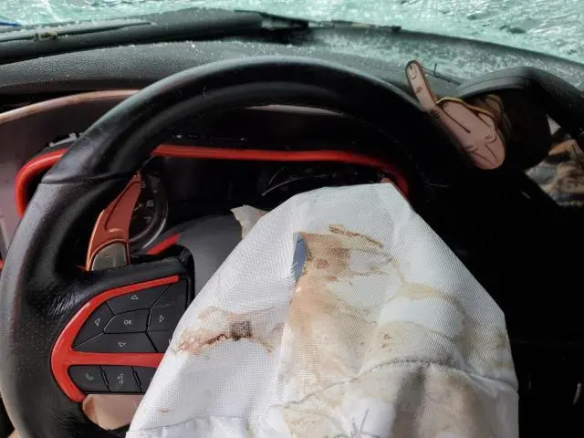 2019 DODGE CHARGER R/T  