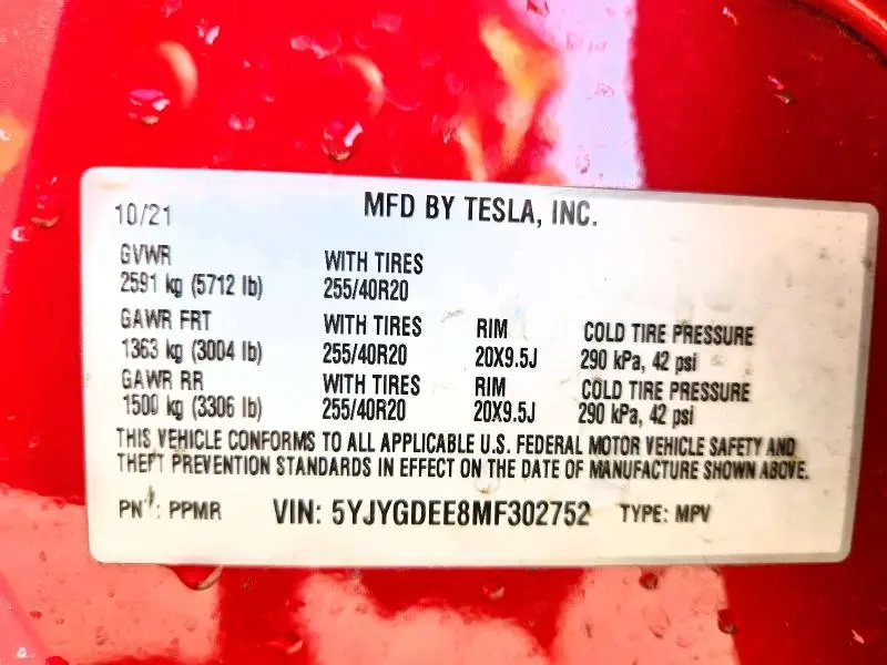 2021 TESLA MODEL Y   