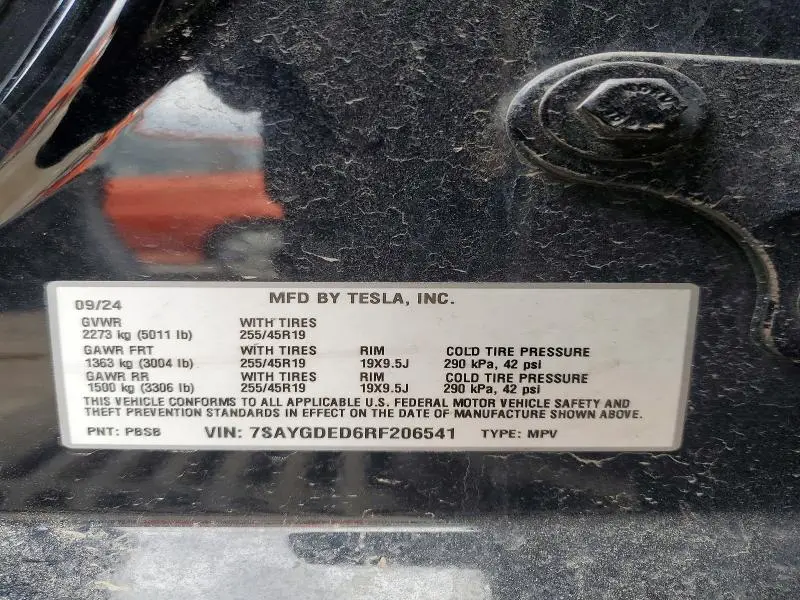 2024 TESLA MODEL Y   