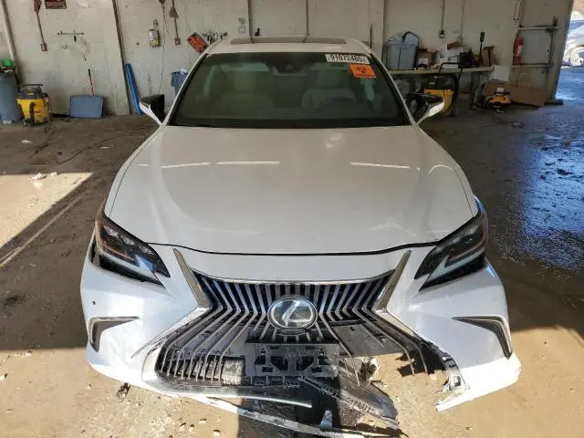 2019 LEXUS ES 350  