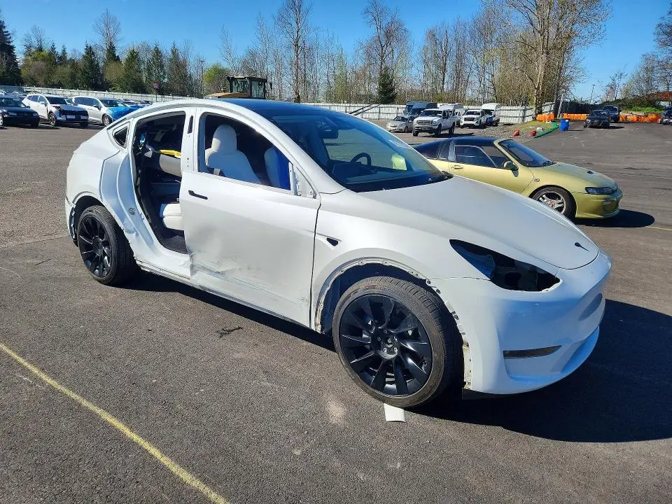2024 TESLA MODEL Y   