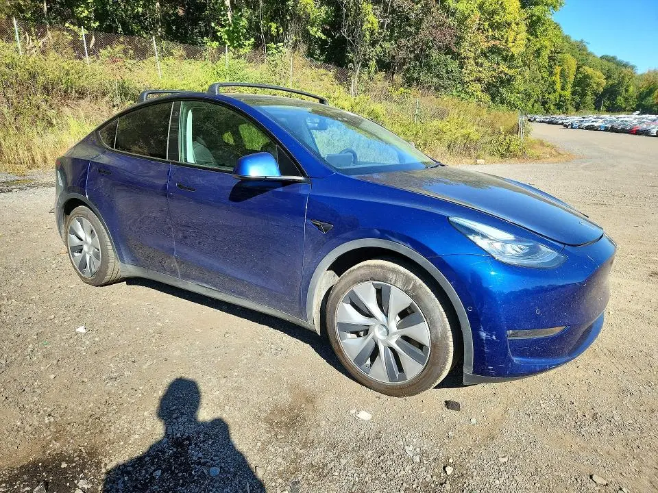 2021 TESLA MODEL Y   