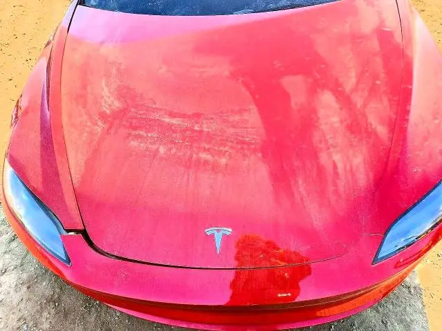 2025 TESLA MODEL 3   