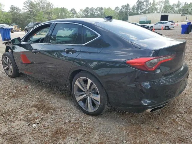2023 ACURA TLX ADVANCE  