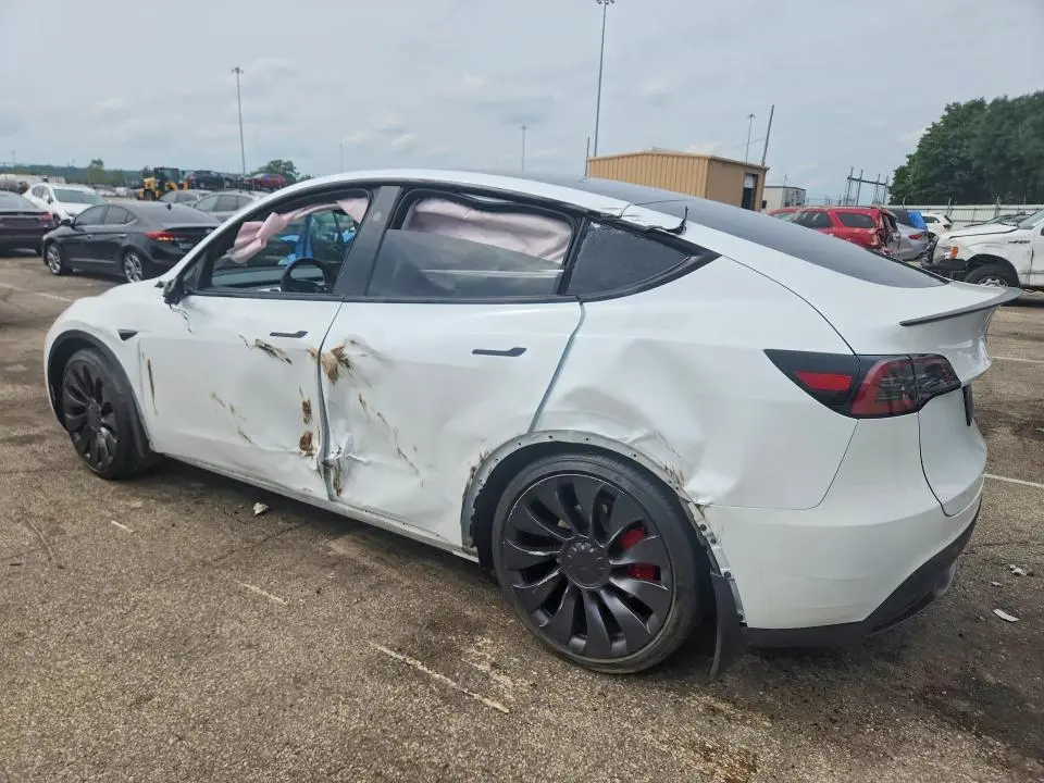 2024 TESLA MODEL Y   