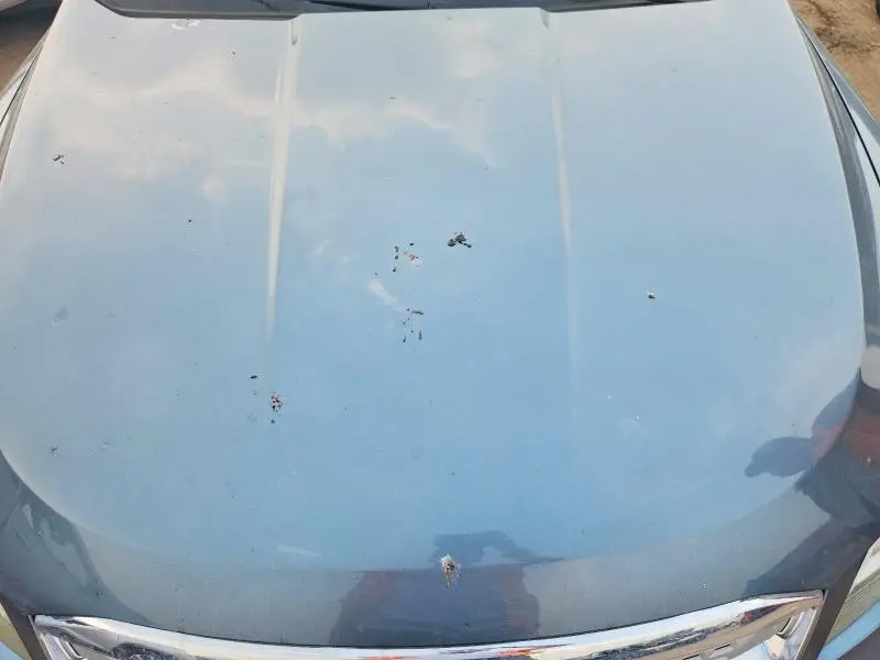 2010 FORD TAURUS LIMITED  