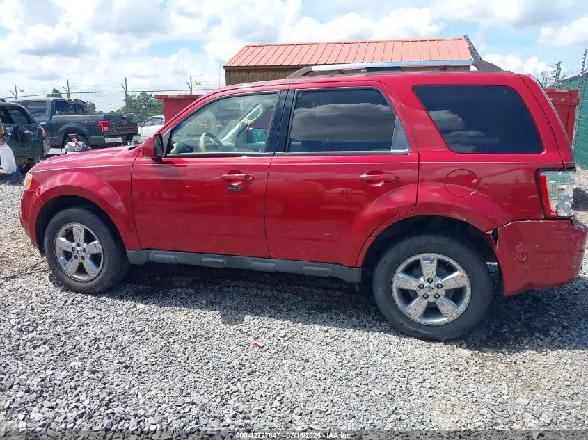 2010 FORD ESCAPE LIMITED
