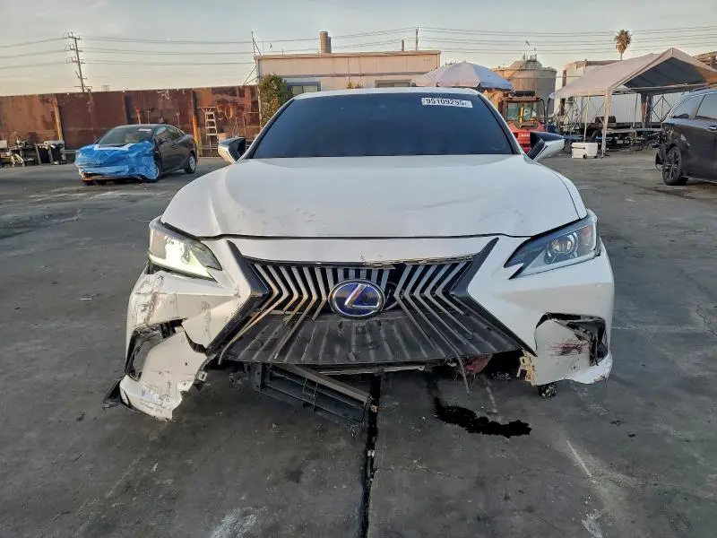 2019 LEXUS ES 300H  