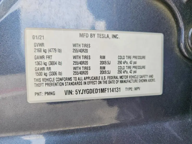 2021 TESLA MODEL Y   