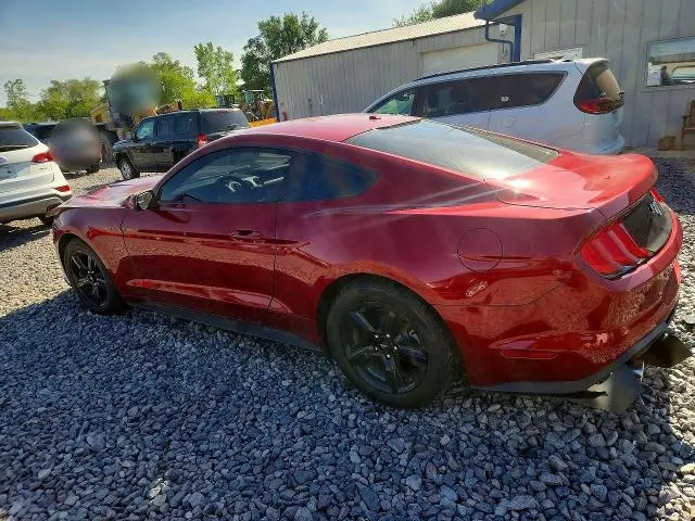 2019 FORD MUSTANG   