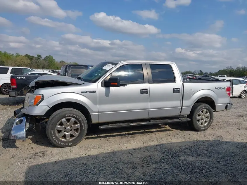 2013 FORD F-150 XLT