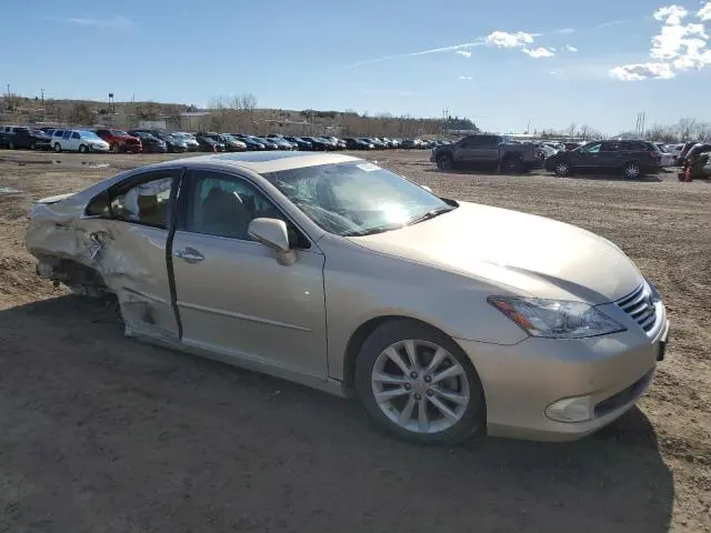 2010 LEXUS ES 350