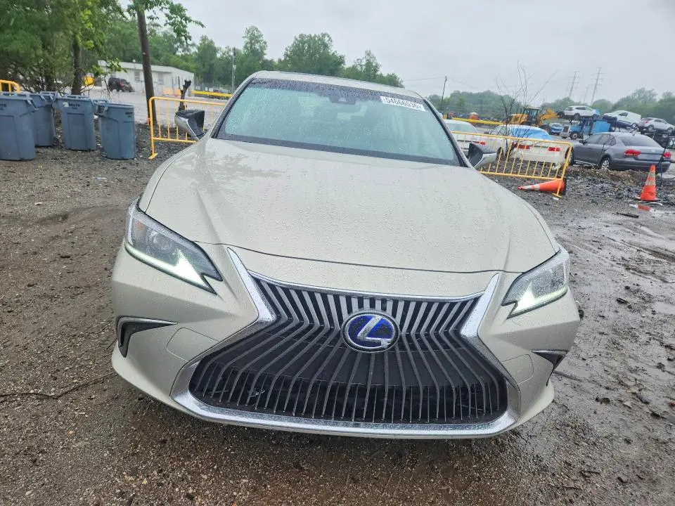 2019 LEXUS ES 300H  