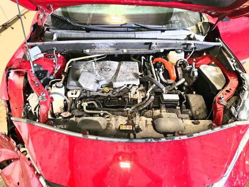 2021 TOYOTA VENZA XLE  