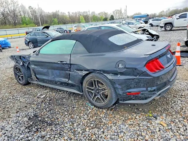 2019 FORD MUSTANG   