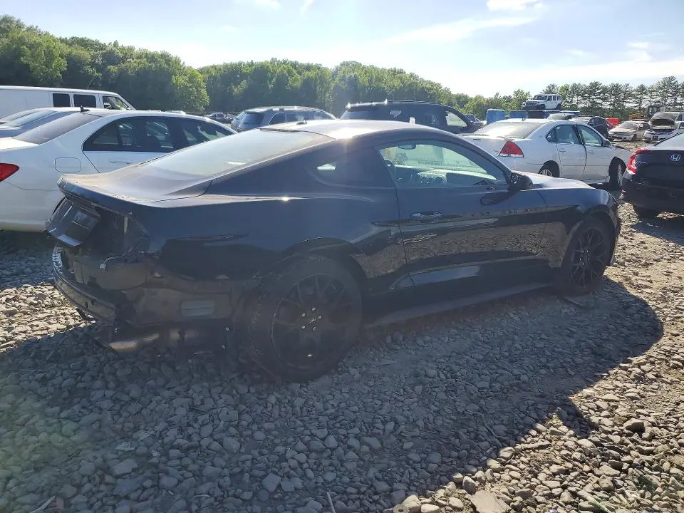 2019 FORD MUSTANG   