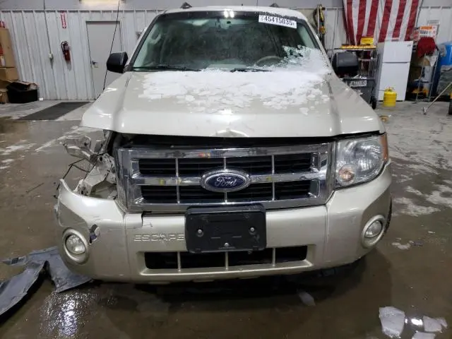 2010 FORD ESCAPE XLT  