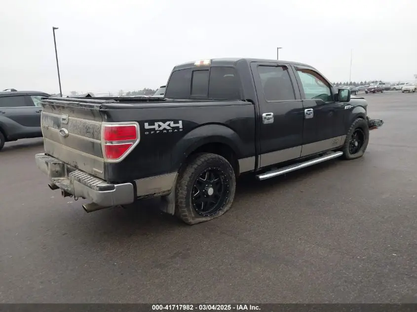 2013 FORD F-150 XLT