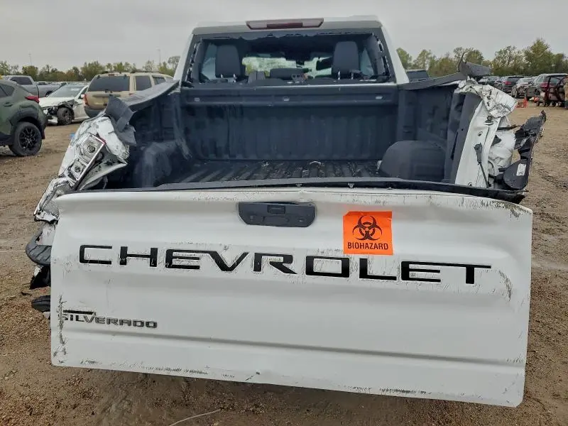 2019 CHEVROLET SILVERADO C1500  