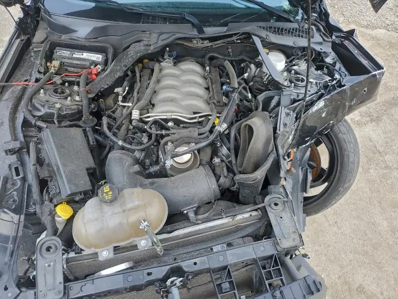 2019 FORD MUSTANG GT  