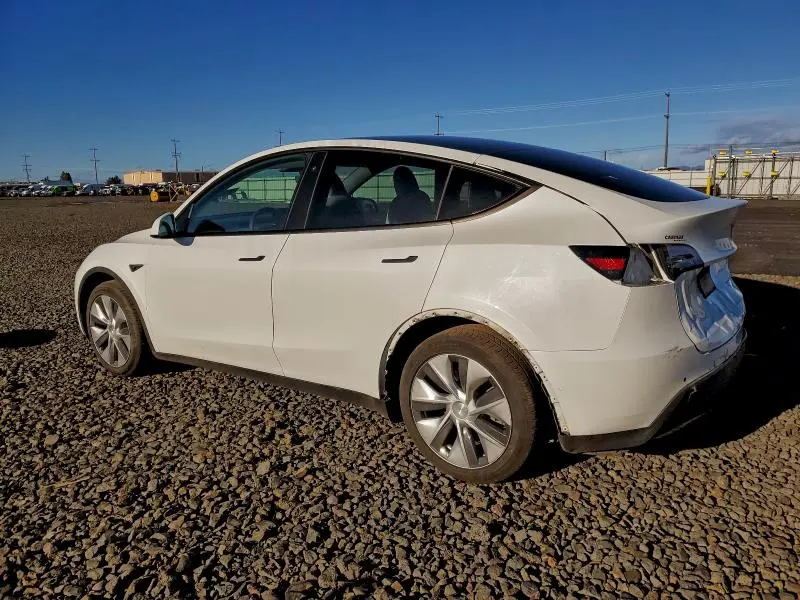 2021 TESLA MODEL Y   