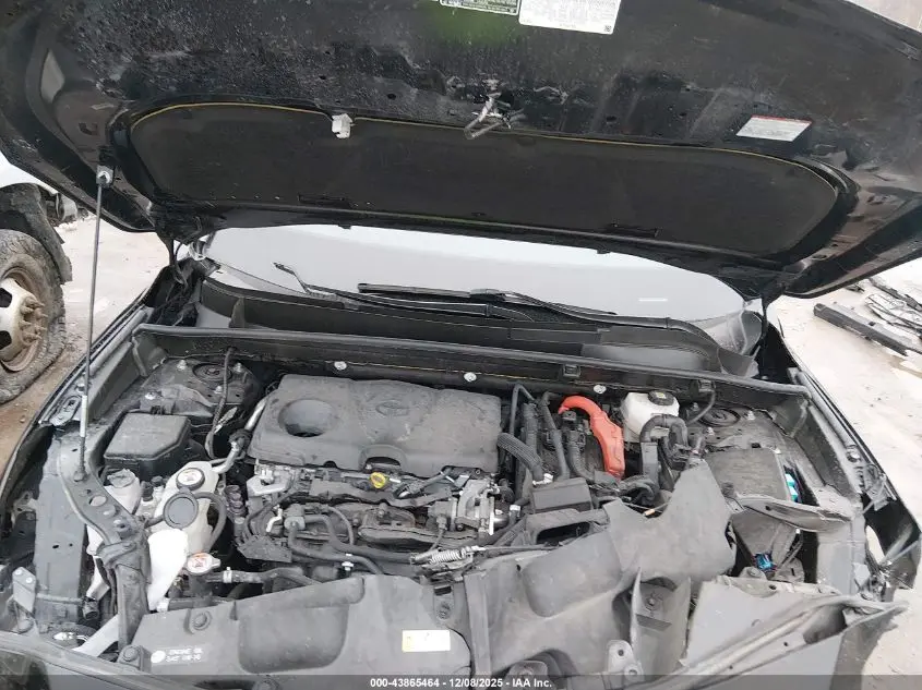 2021 TOYOTA VENZA XLE