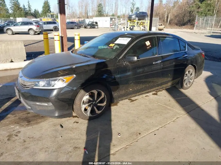 2016 HONDA ACCORD EX-L V-6