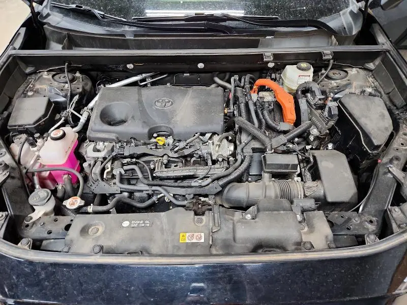 2023 TOYOTA RAV4 LE  