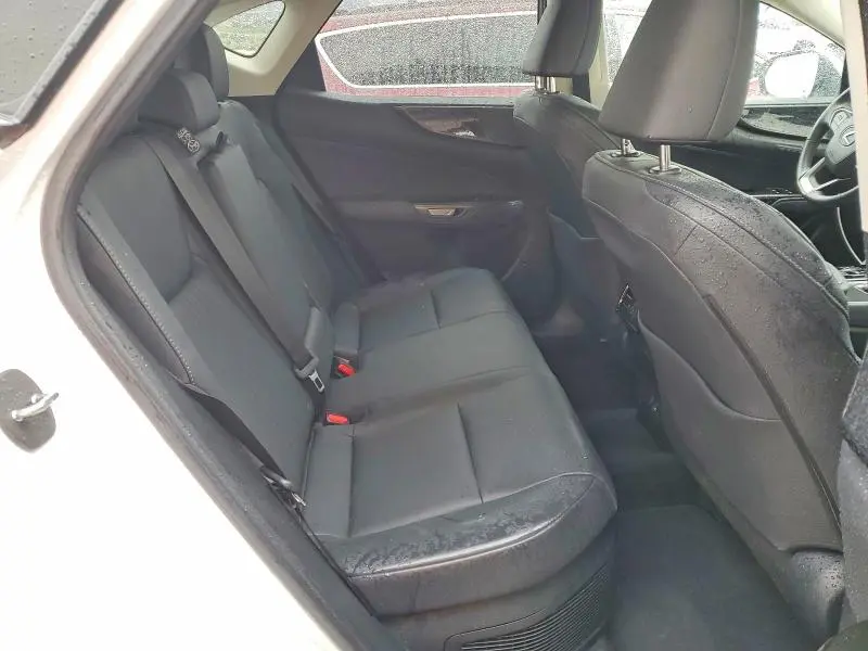 2024 LEXUS NX 350H PREMIUM  