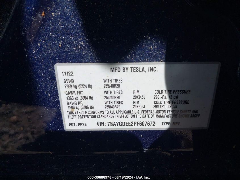 2023 TESLA MODEL Y  